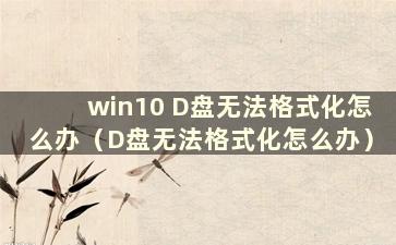 win10 D盘无法格式化怎么办（D盘无法格式化怎么办）